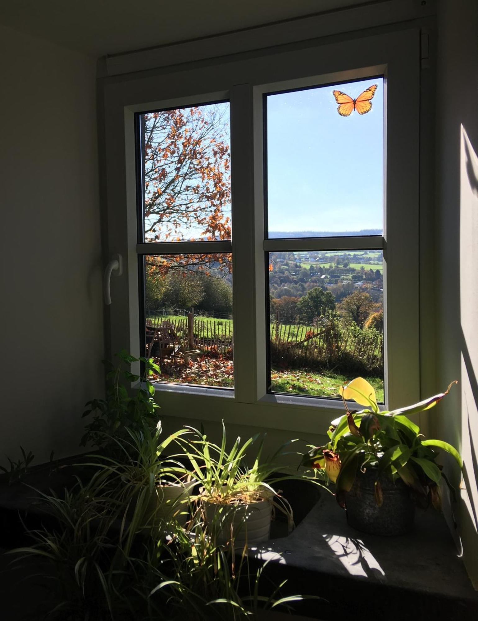 La Maison De Julienne - Ligneuville 马尔梅迪 外观 照片